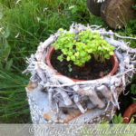 120615_garten1