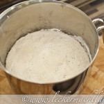 Ciabatta Brötchen