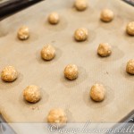 Erdnuss-Cookies