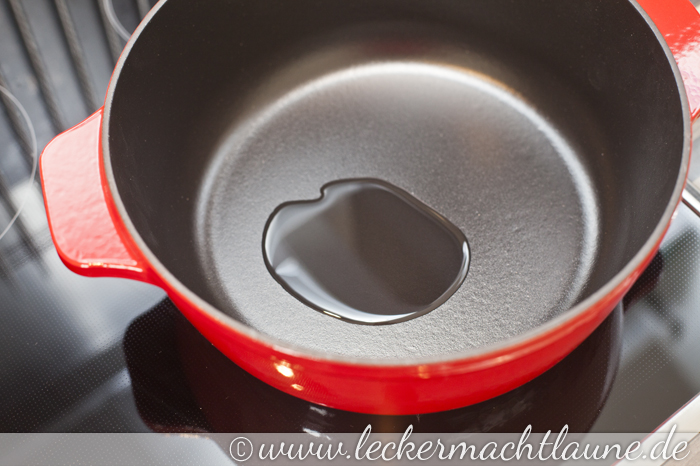 130406_fissler_4