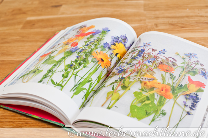 140520_buch_wildebeeren_03
