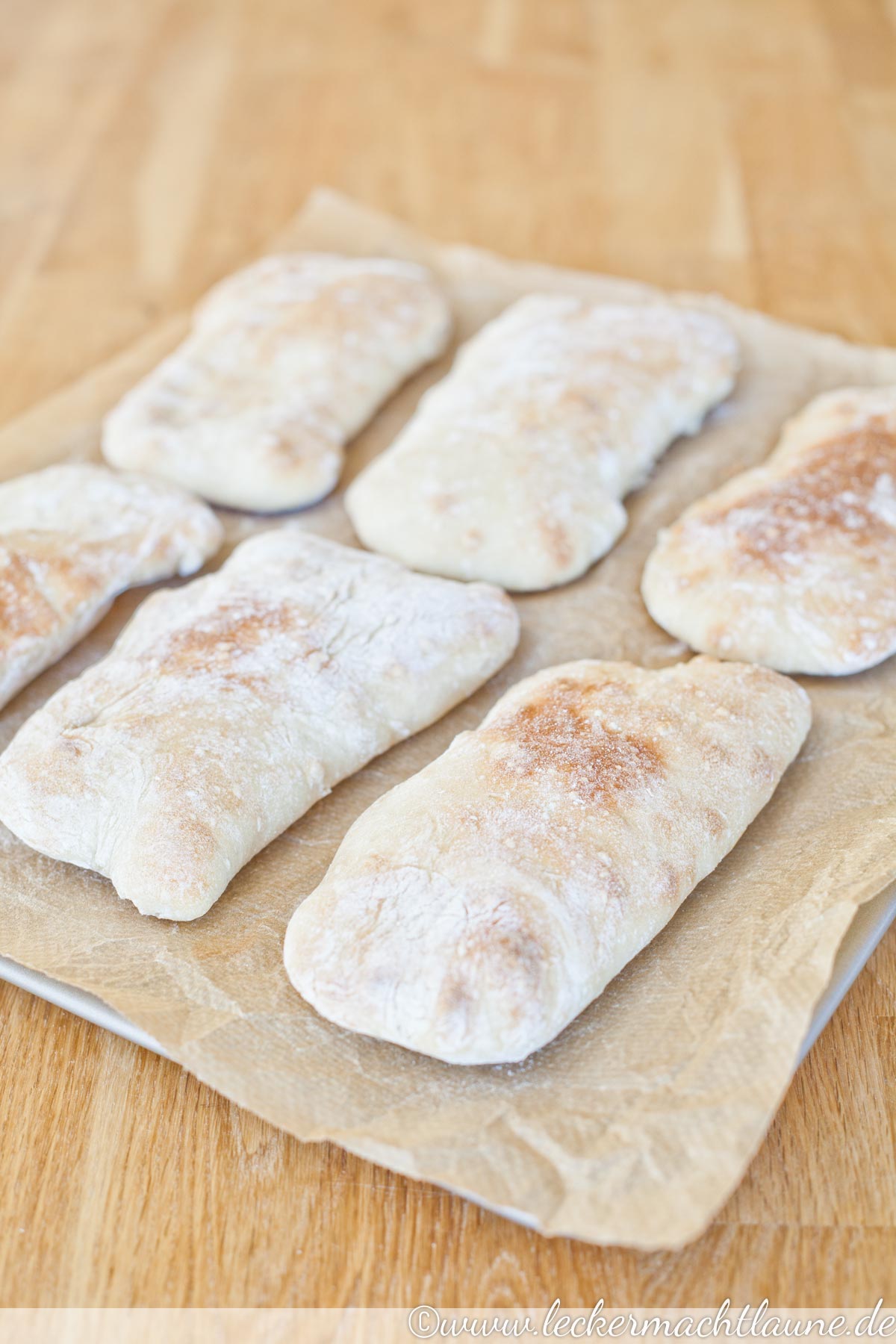 Panini