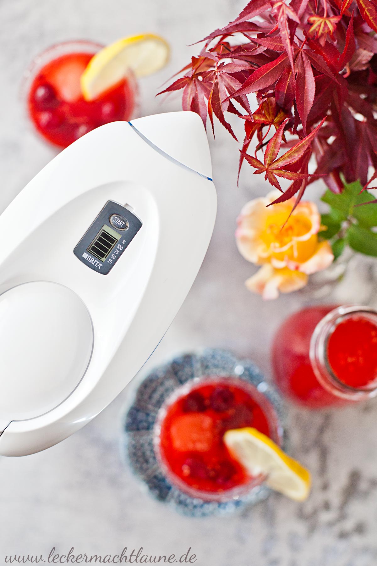 Himbeereistee mit BRITA Tischwasserfilter