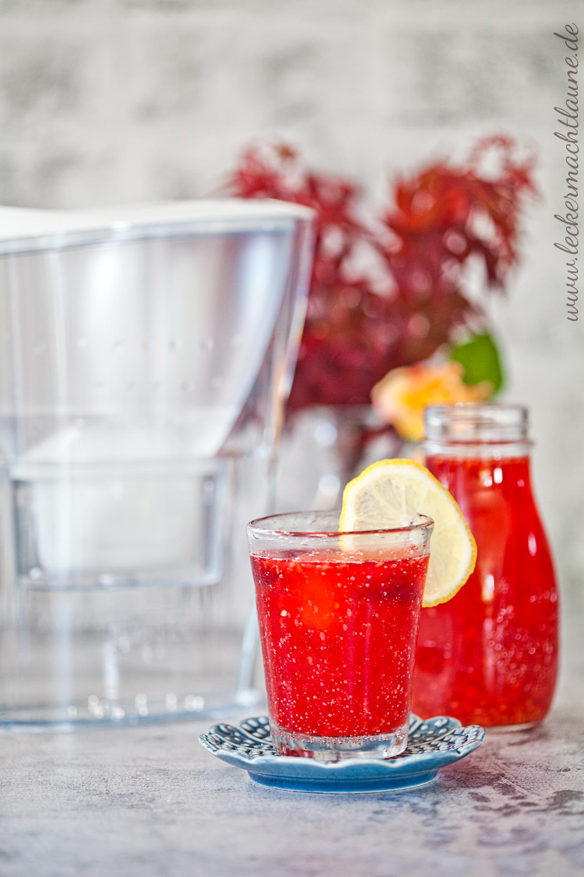 Himbeereistee mit BRITA Tischwasserfilter