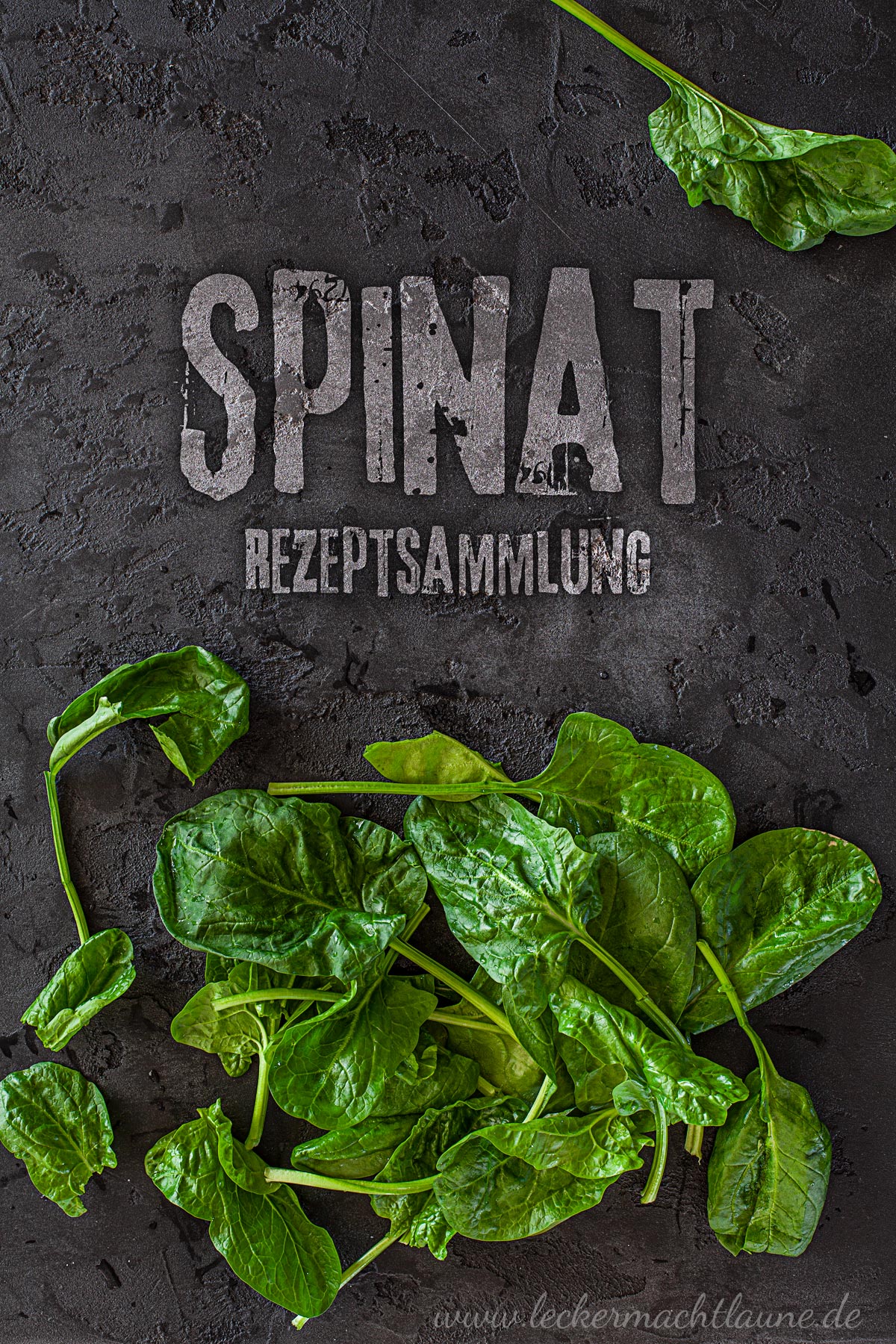 Spinat - Rezeptsammlung